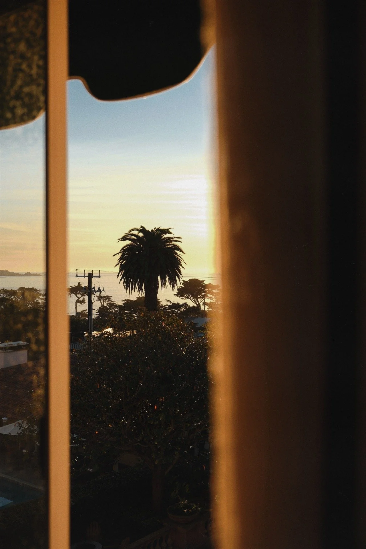 F9A7D120-51DD-4DA9-9E69-2599087E23F2 2.JPG