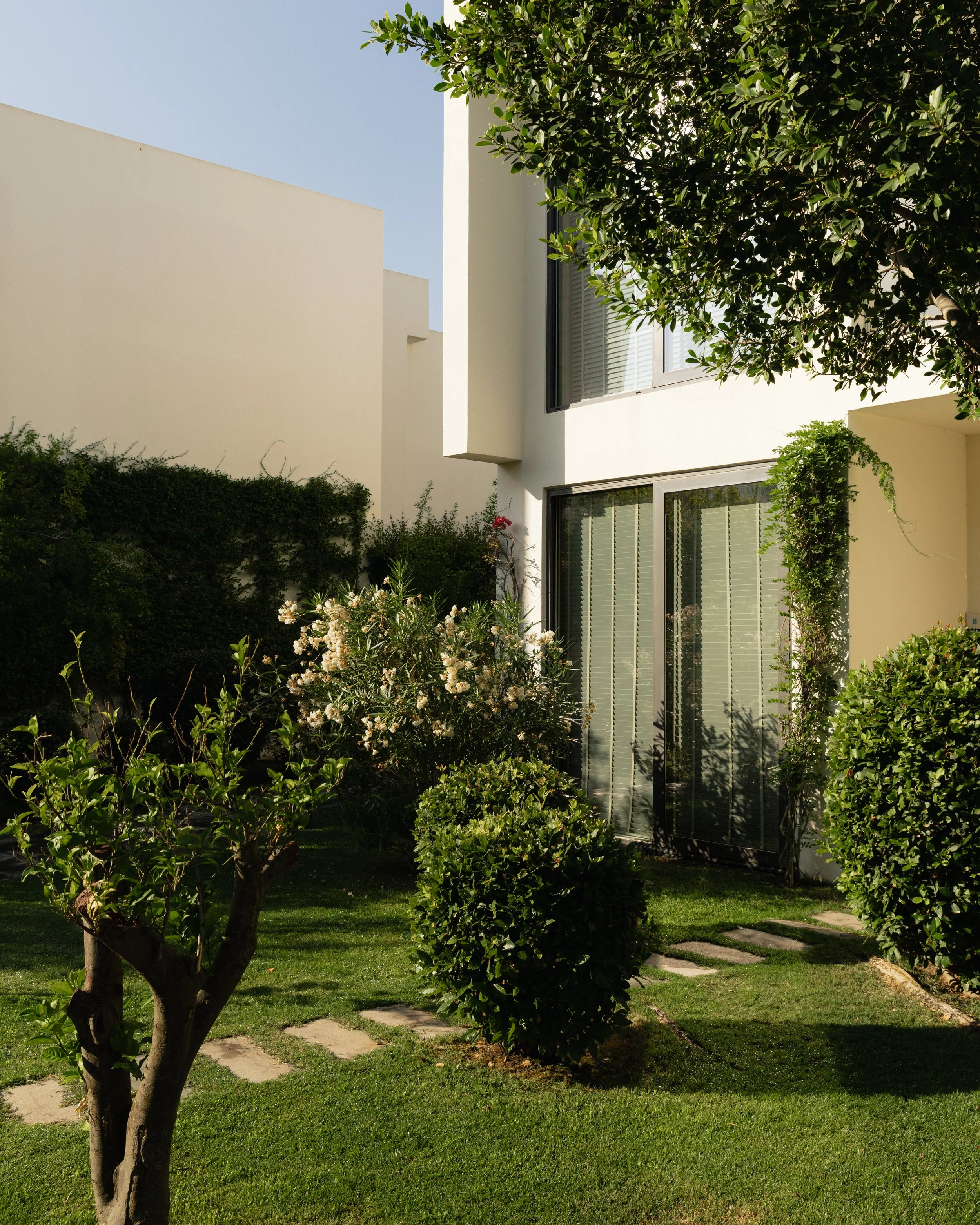3E4A8061_1.jpg