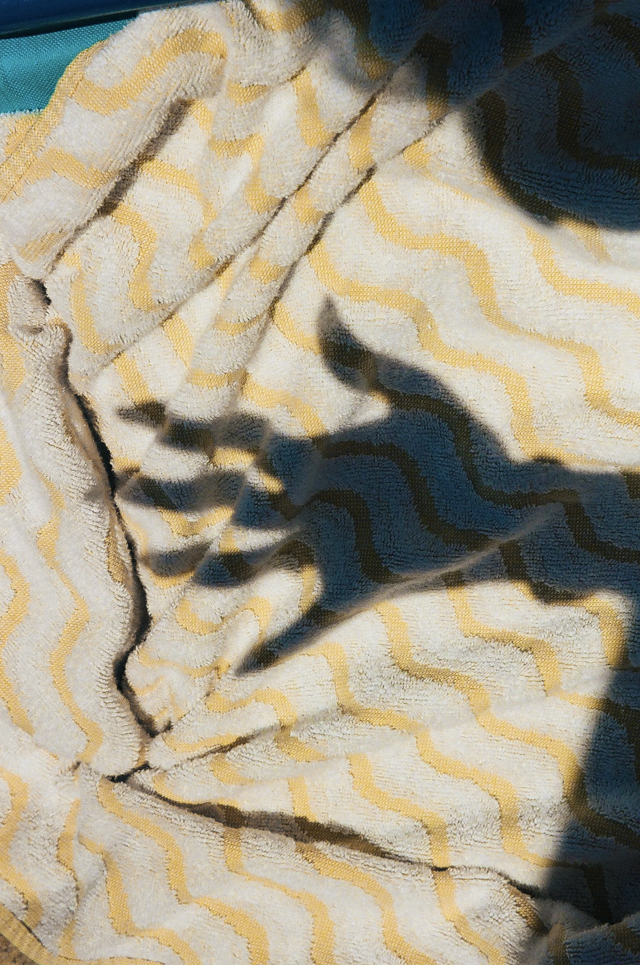 10930011.jpg