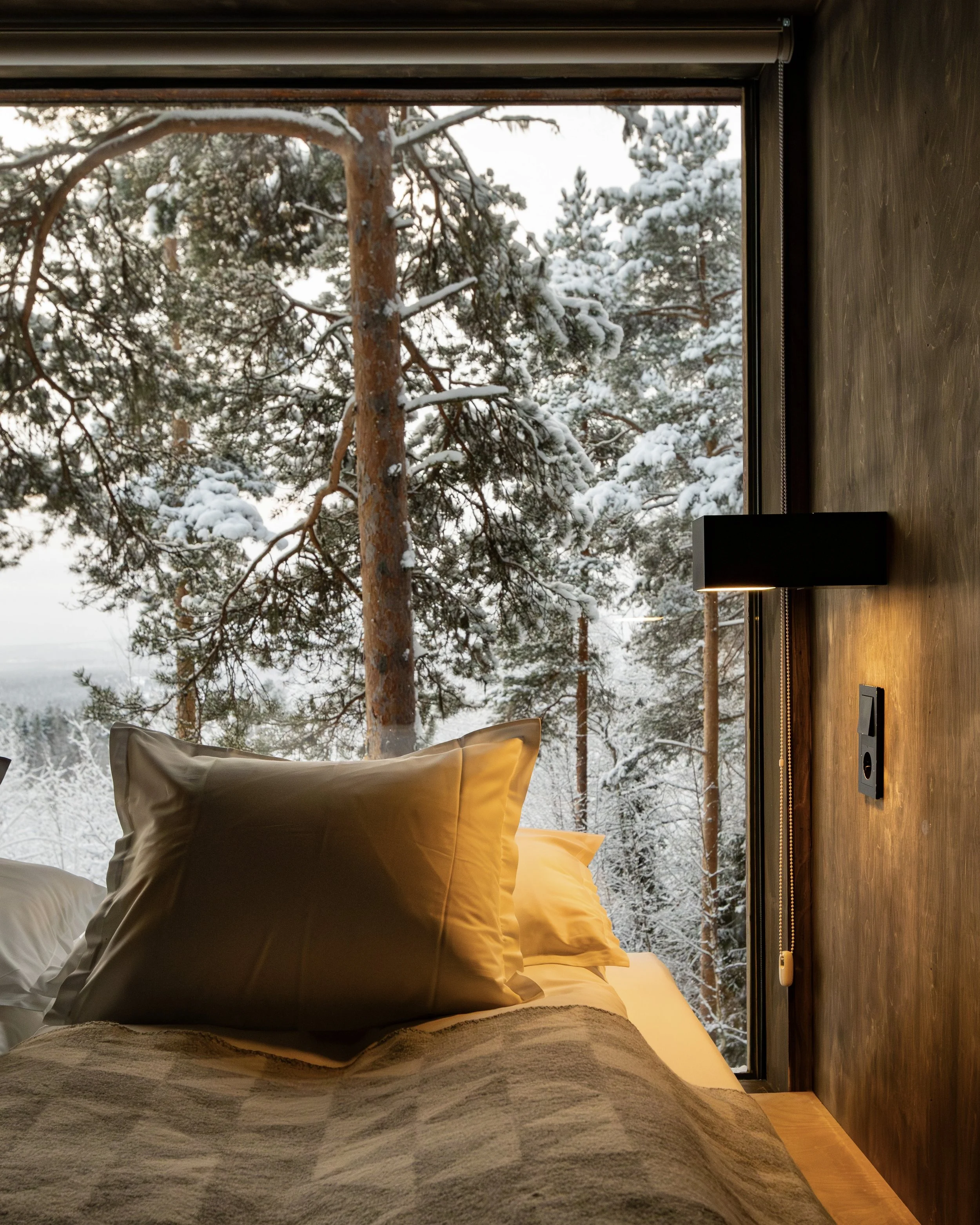 3E4A1140-Enhanced-NR 2.jpg