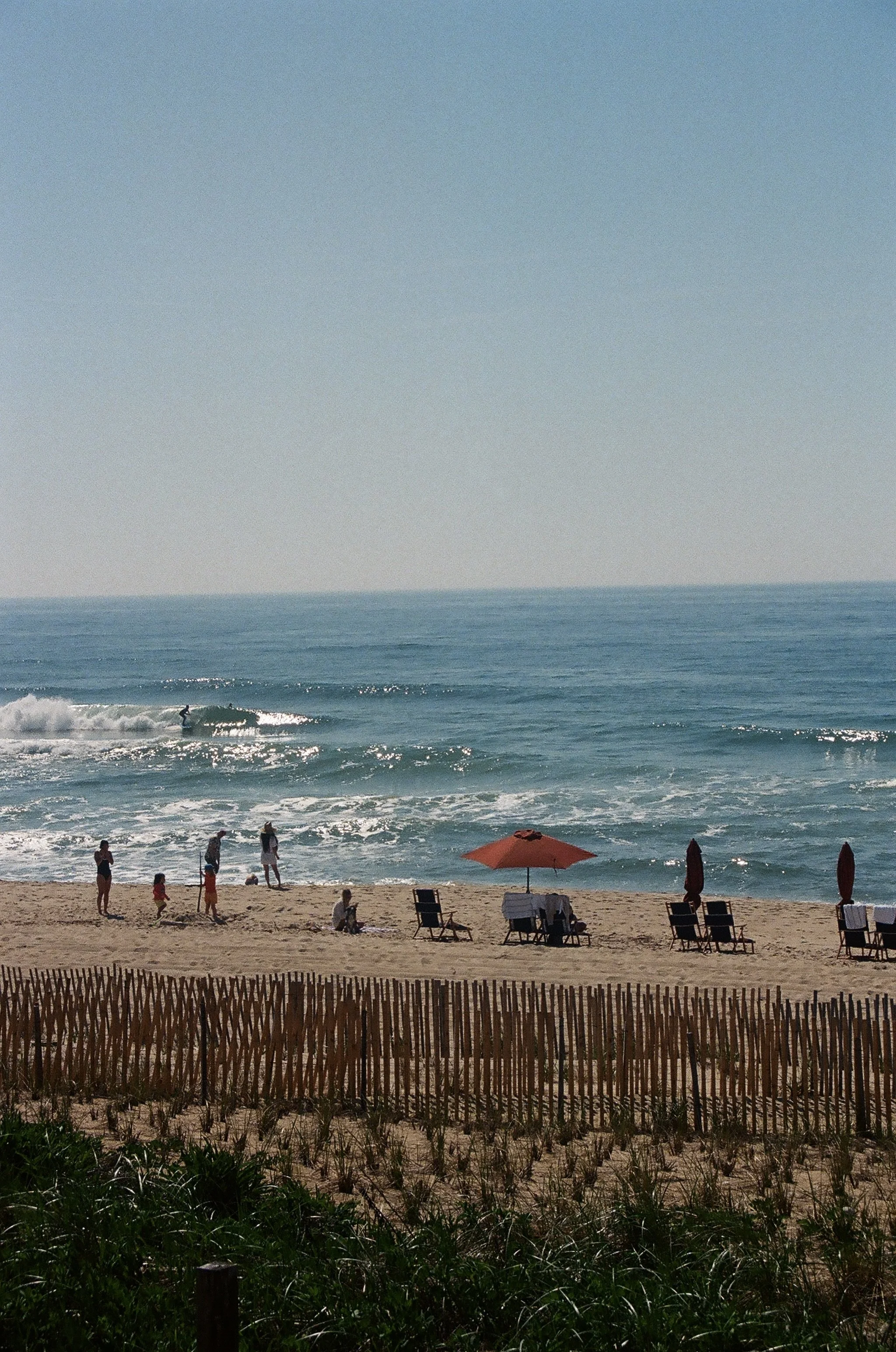 IMG_7187.jpg