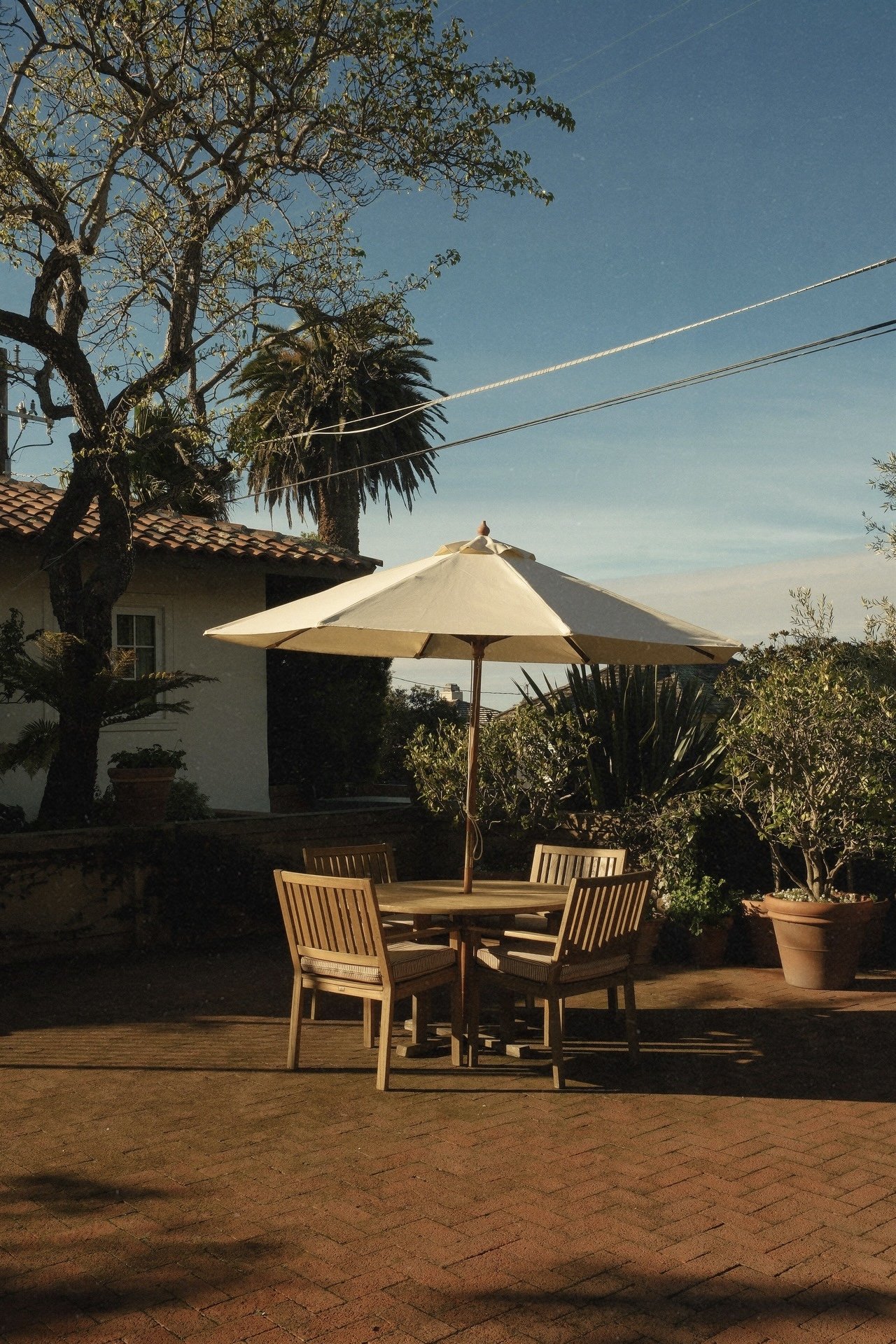 7C646022-8EB9-44B0-BBA9-83D490ECB9B3 2.jpg