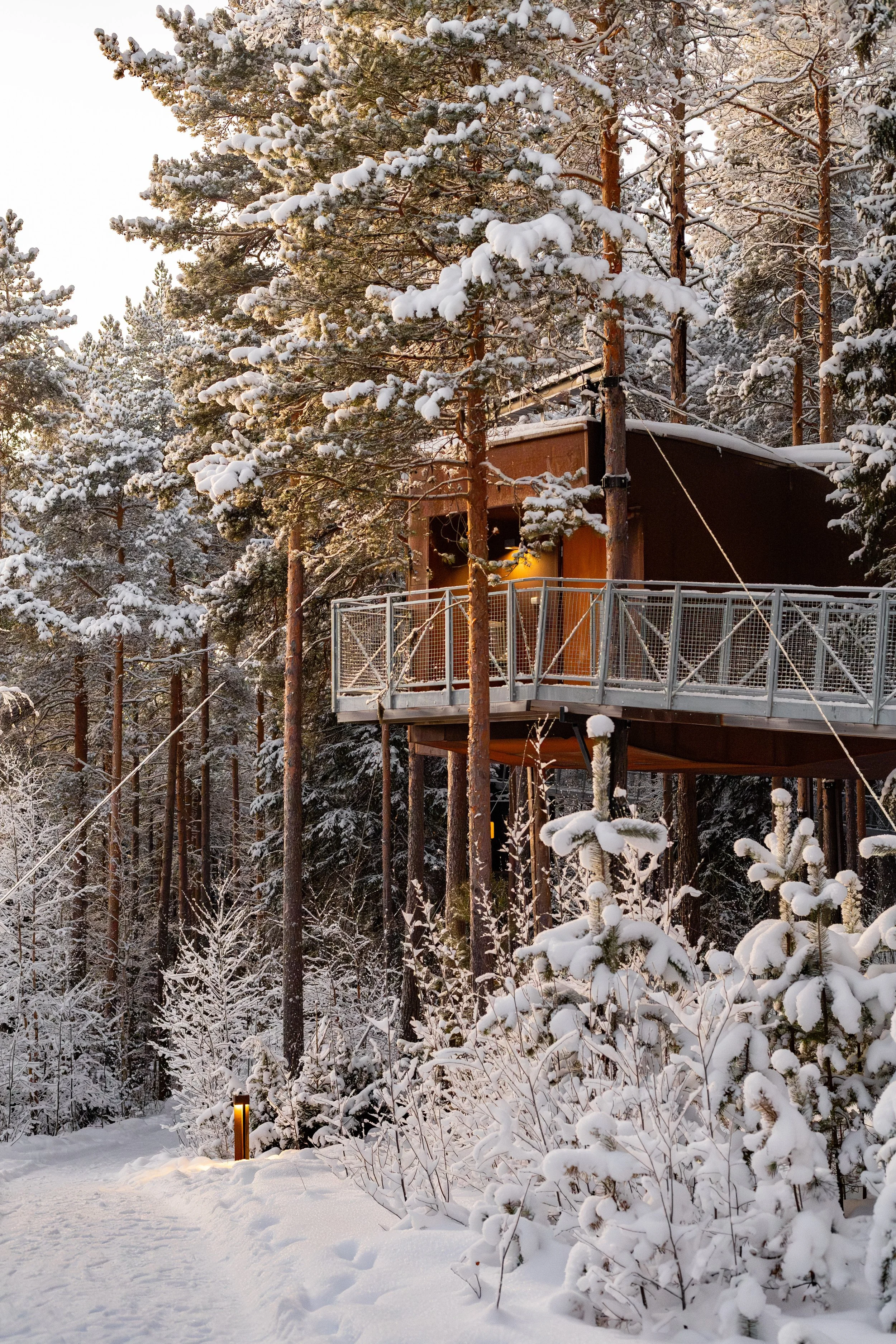 3E4A1850-Enhanced-NR 2.JPG