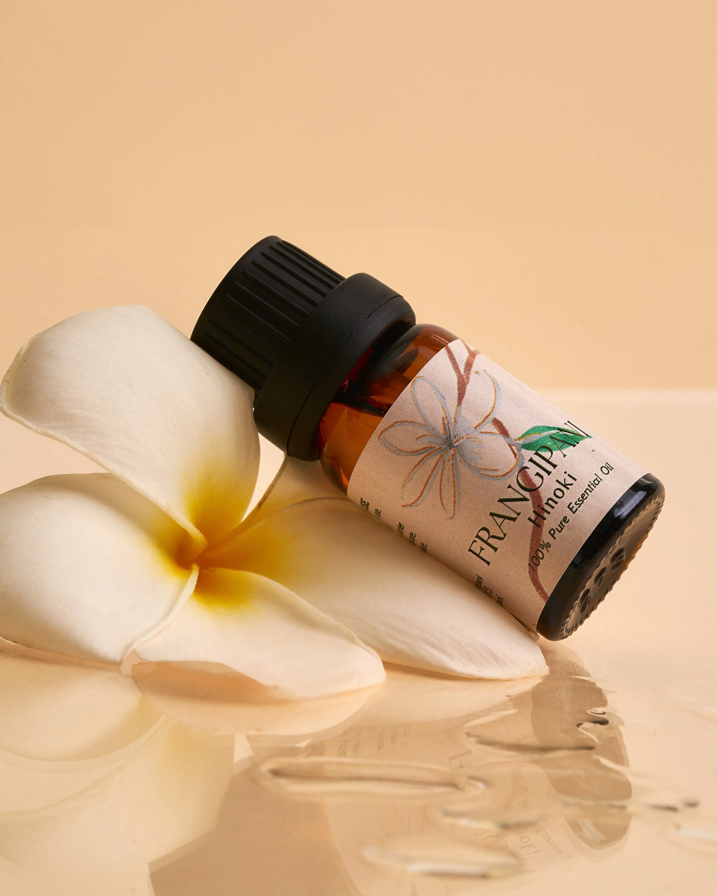 Frangipani50.jpg