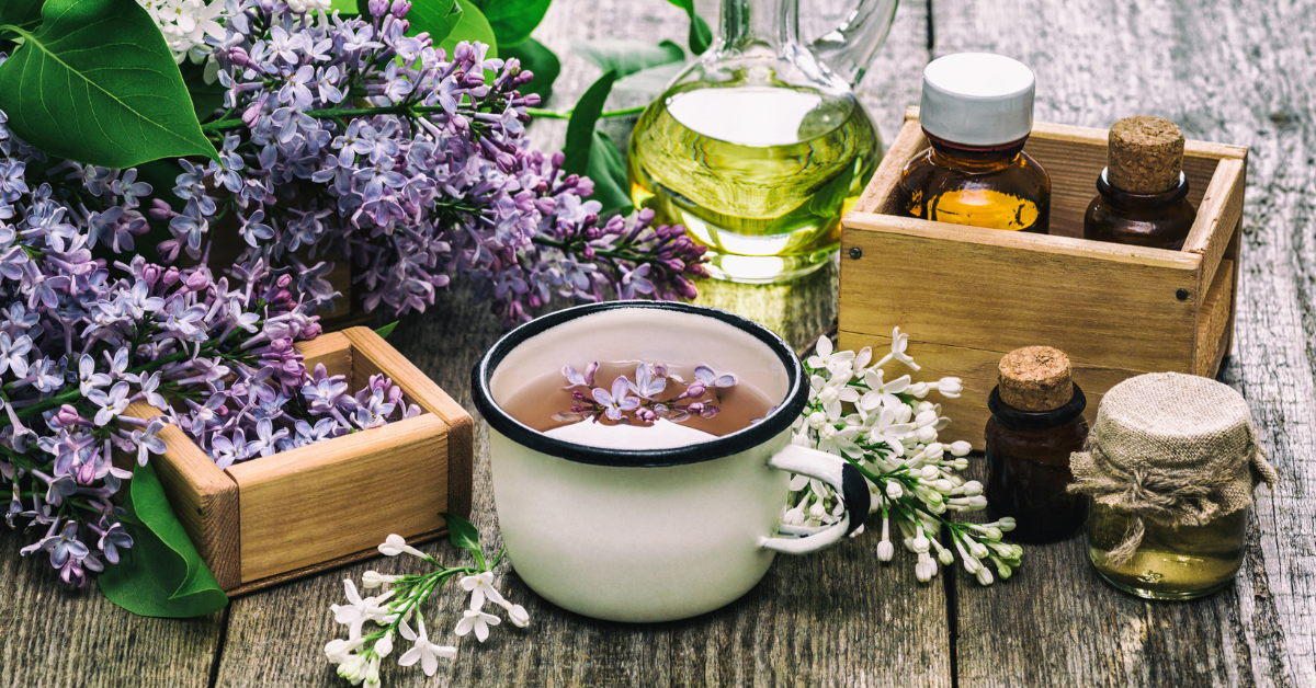 Lavender Essential Oil Making