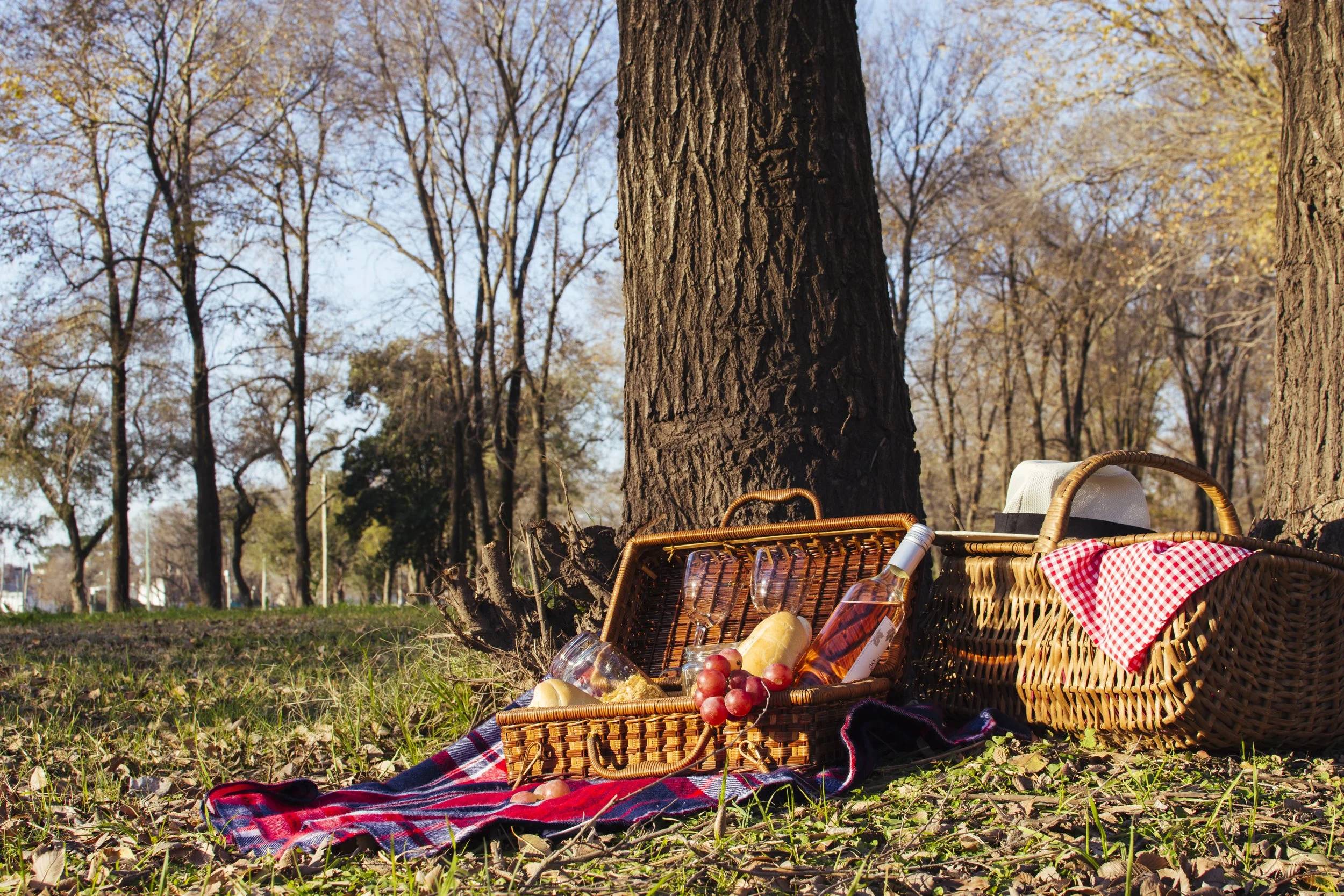 Front View Beautiful Picnic Arrangement