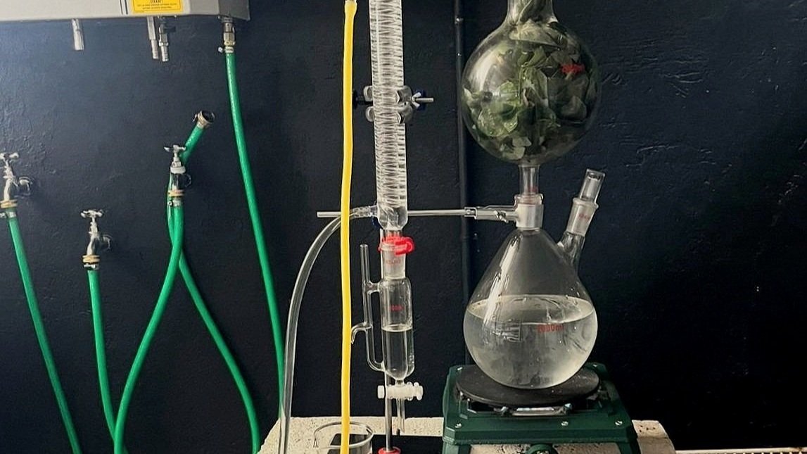 WhatsApp Image 2024-11-12 at 10.21.55 AM.jpg