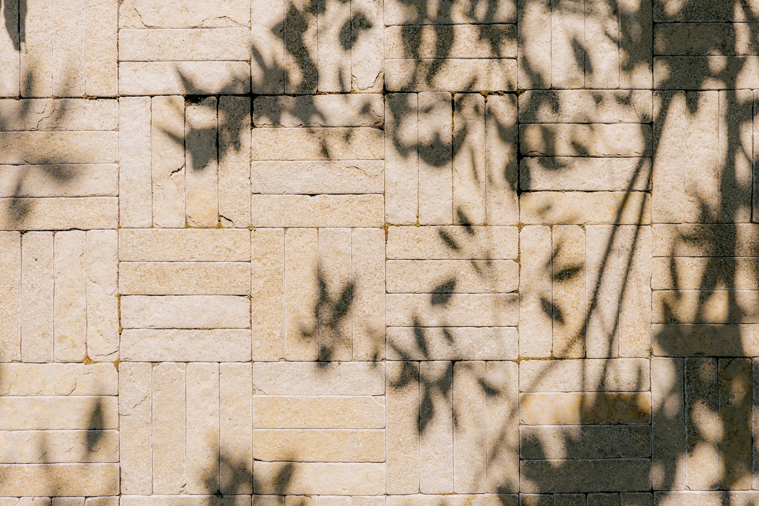 _1460099.jpg