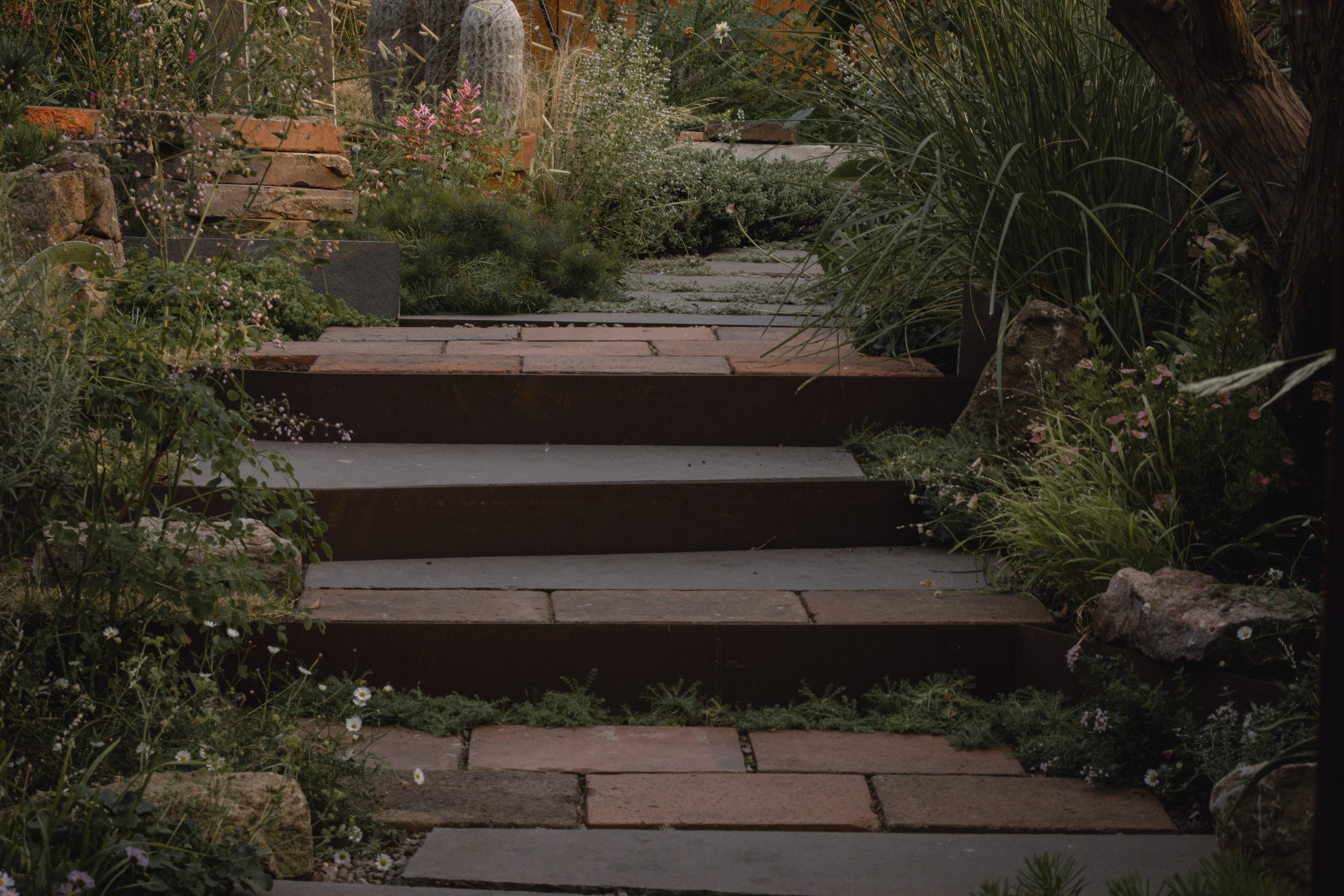 Stone garden pathway with steps surrounded by green plants and flowers.