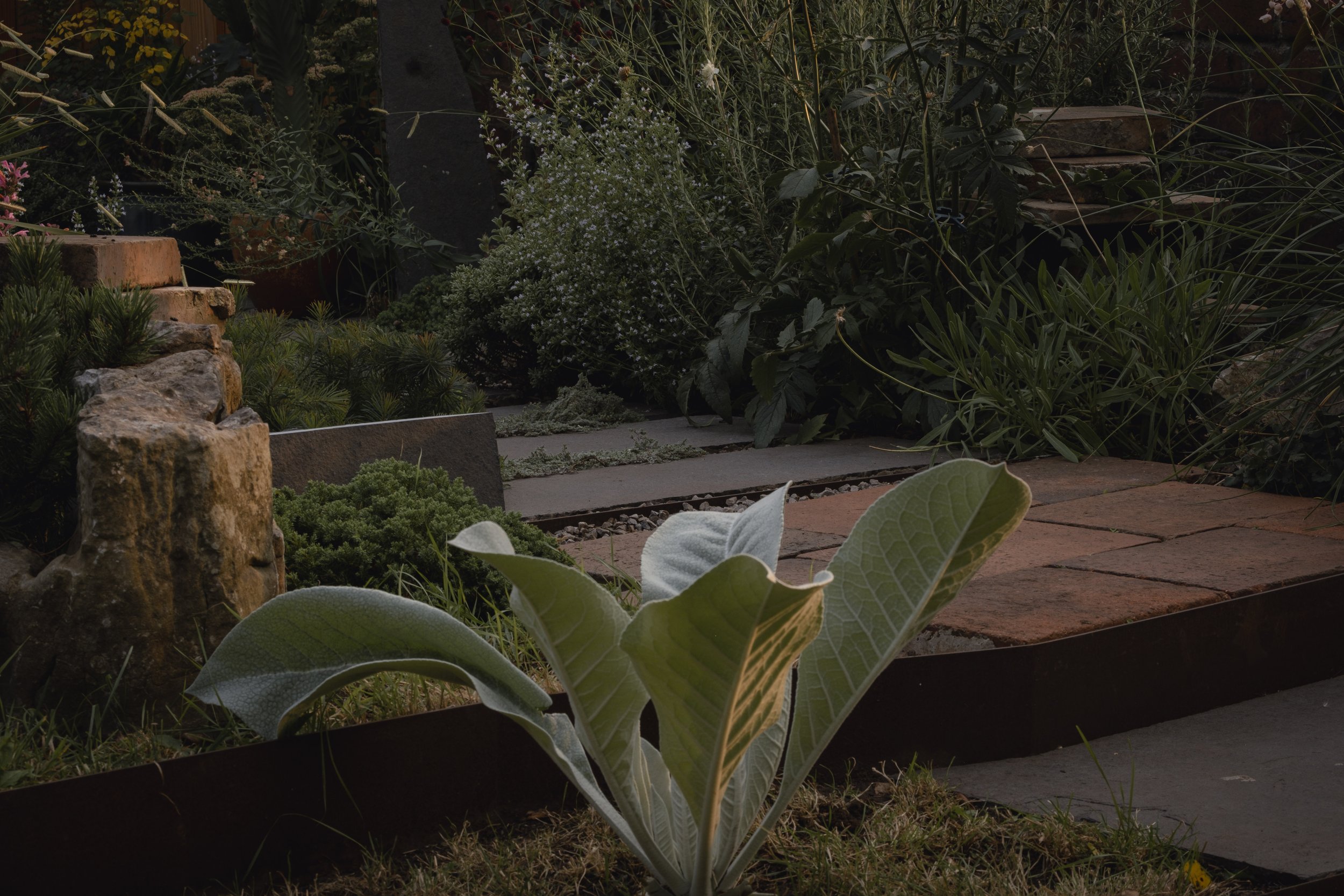 Garden scene with large leaves, stone pathways, and various plants