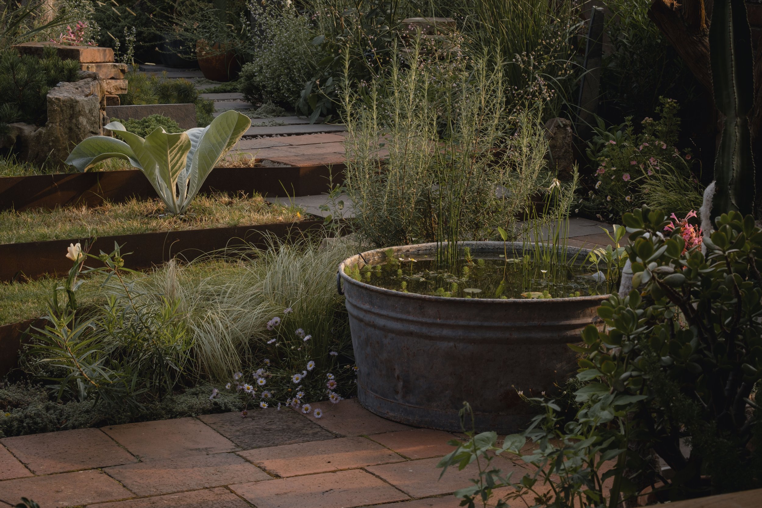 Garden with metal tub pond, ornamental grasses, and various plants on a stone-paved area.