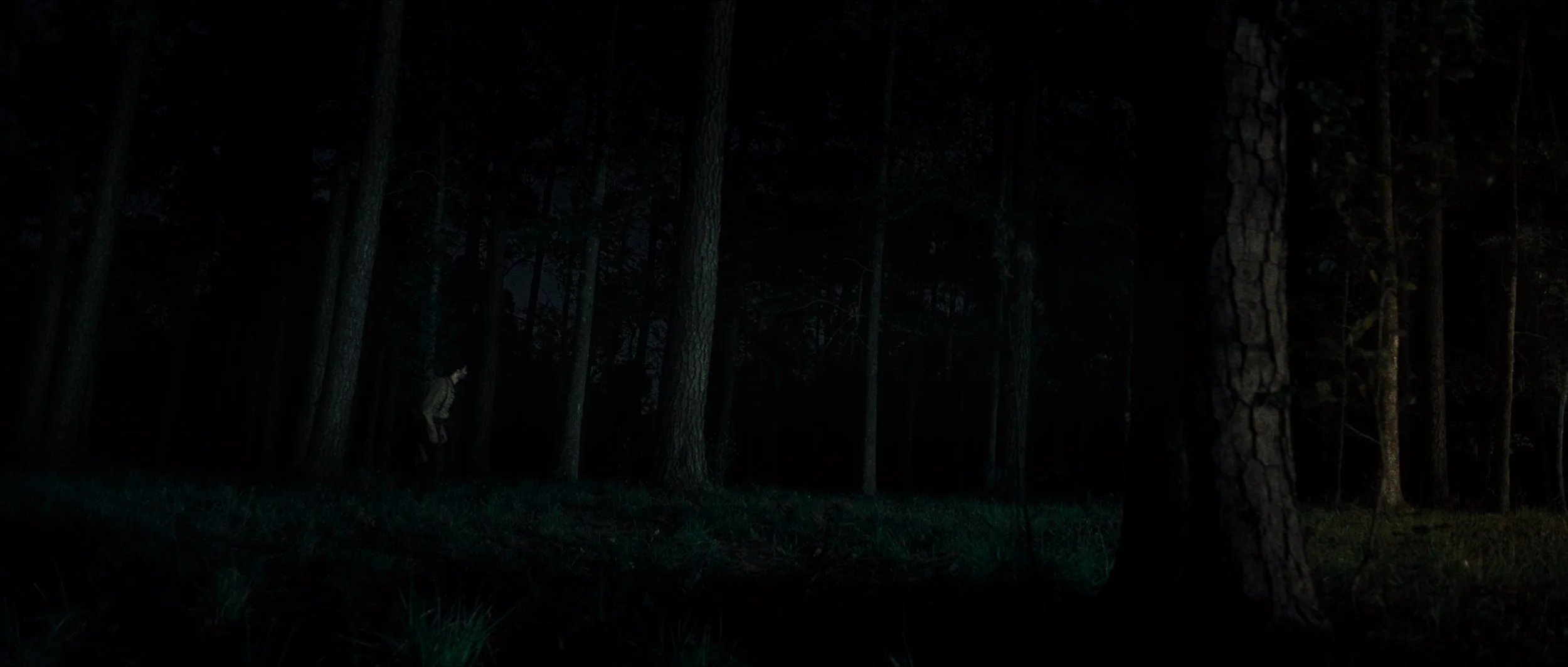 TEMPEST STILLS_1.1.19.jpg