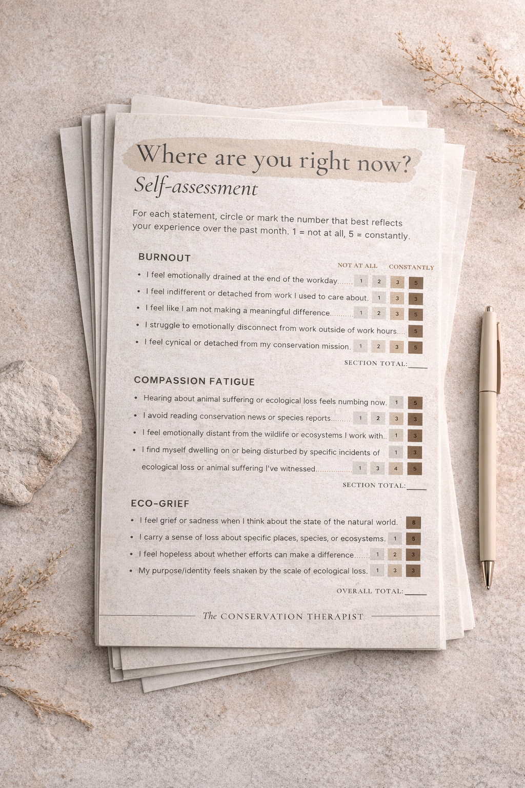 Self-assessment image.png