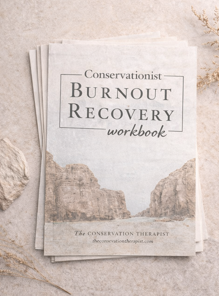 Hero Image for Burnout Workbook.png