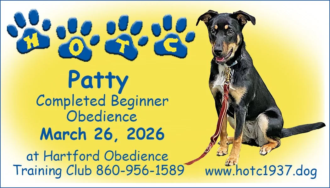 Patty032626.jpg
