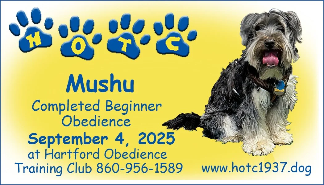 Mushu090425.jpg