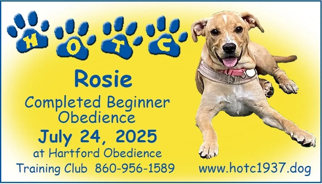 Rosie072425.jpg