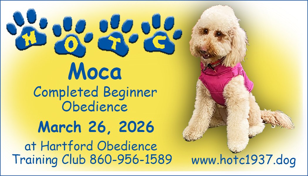 Moca032626.jpg
