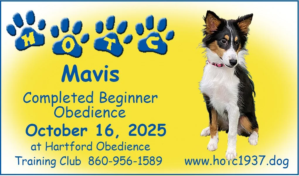Mavis 101625.jpg