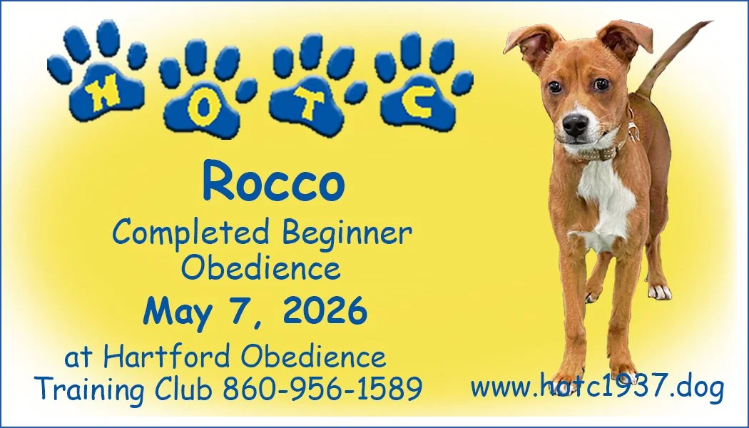 Rocco050626.jpg
