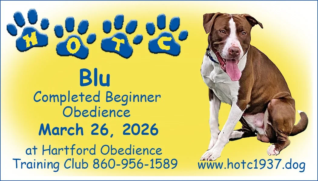 Blu032626.jpg