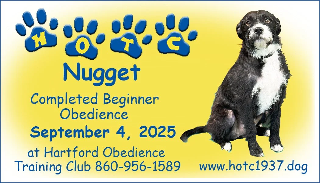 Nugget090425.jpg