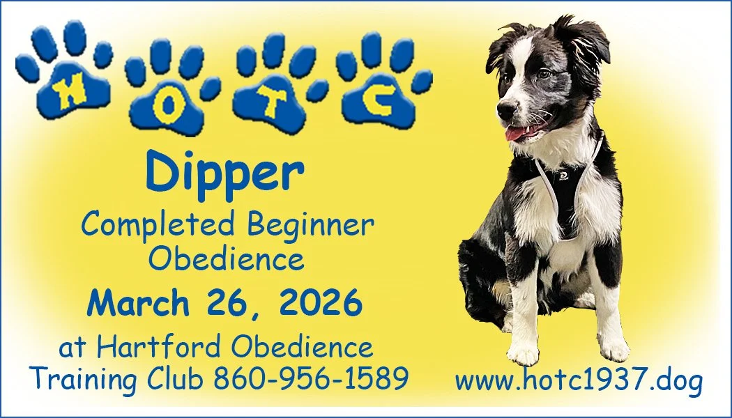 Dipper032626.jpg