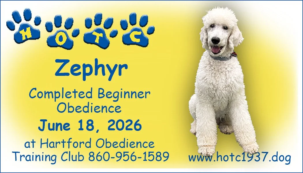 Zephyr061826.jpg