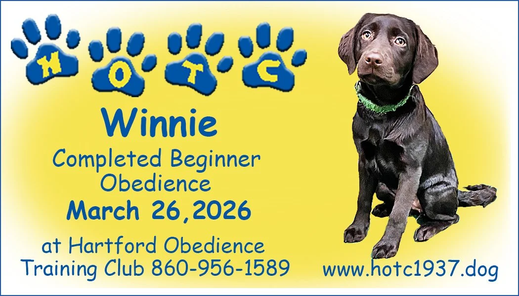 Winnie032626.jpg