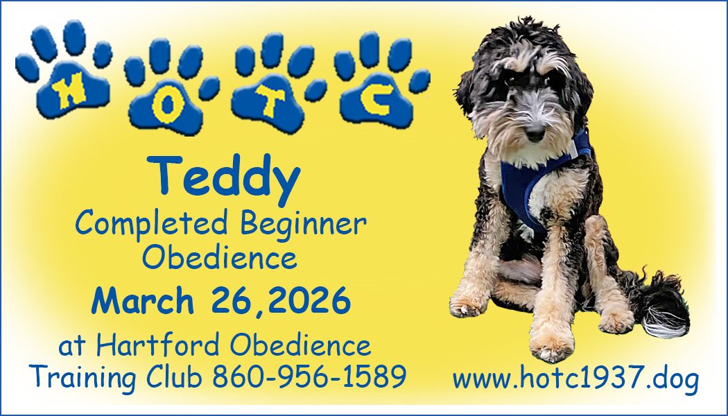 Teddy032626.jpg
