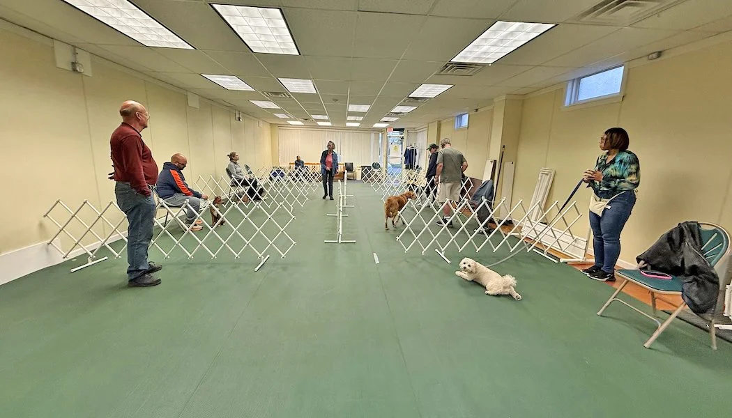 Beginners 1.jpg