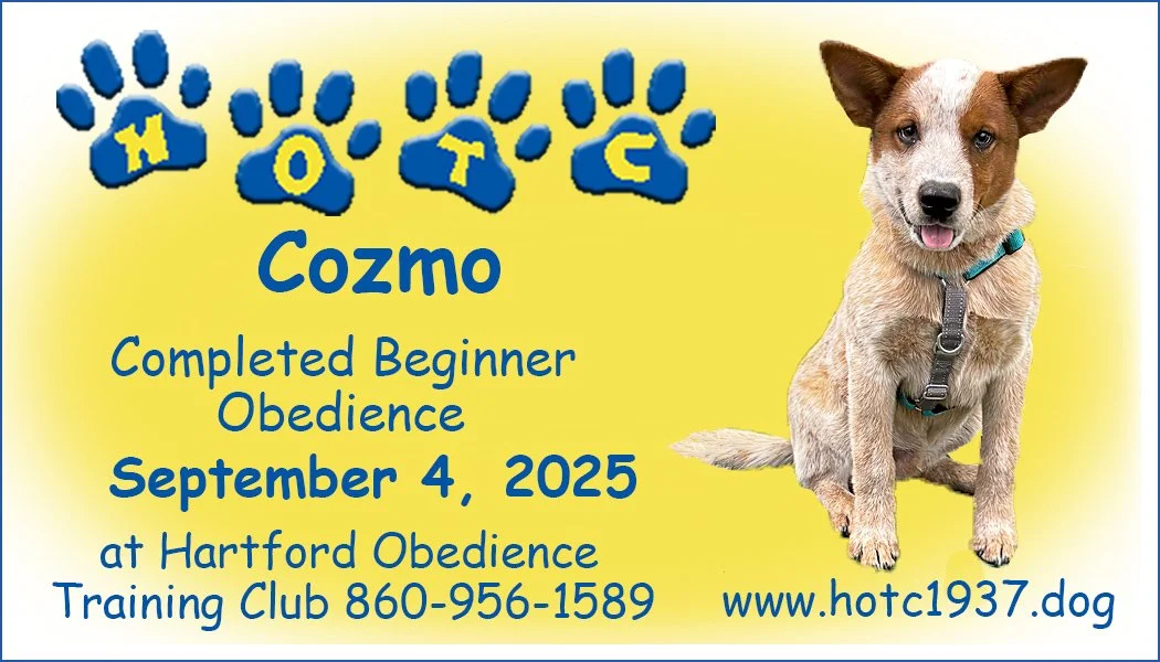 Cozmo090425.jpg