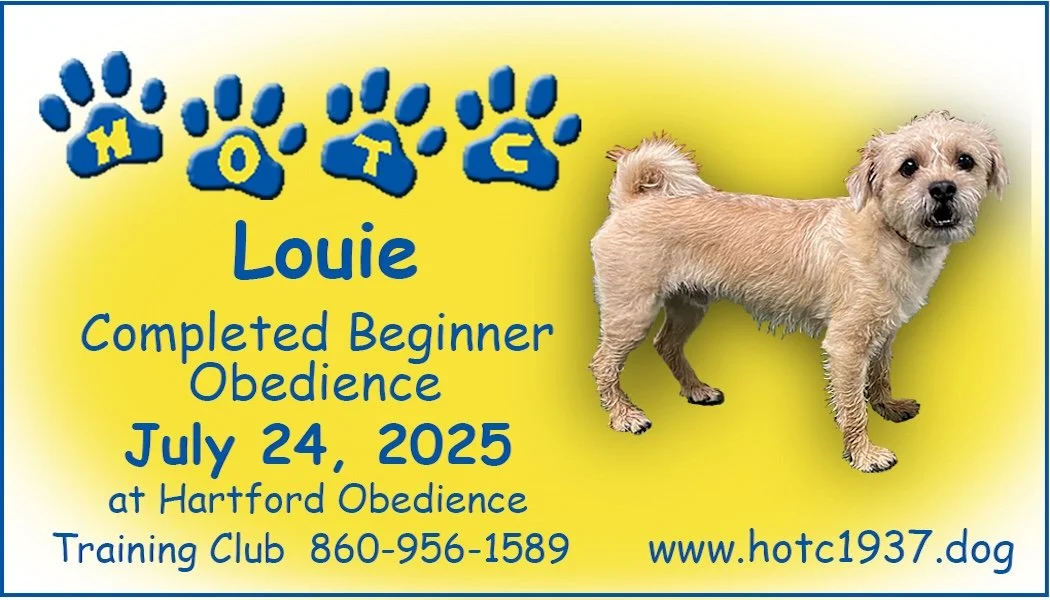 Louie072425.jpg