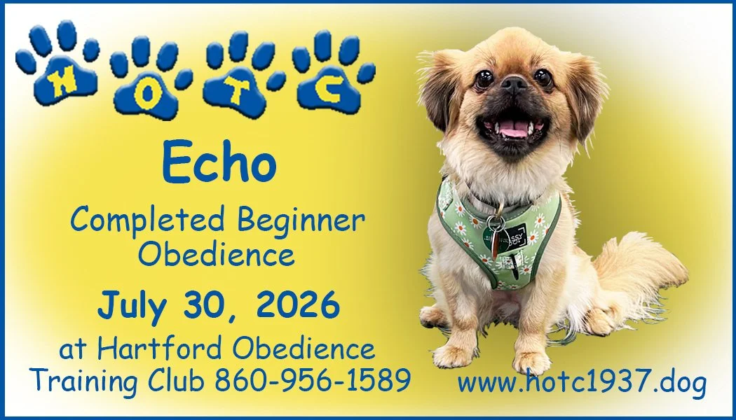Echo073026.jpg