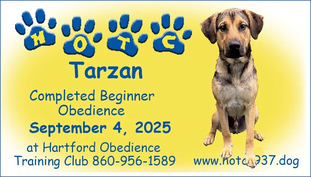 Tarzan090425.jpg
