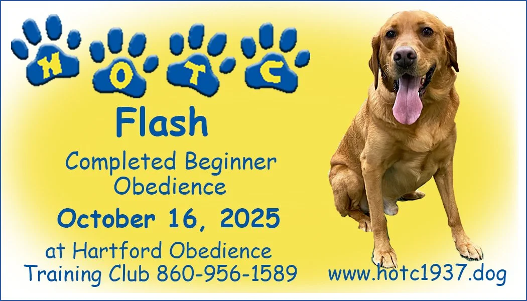 Flash101625.jpg