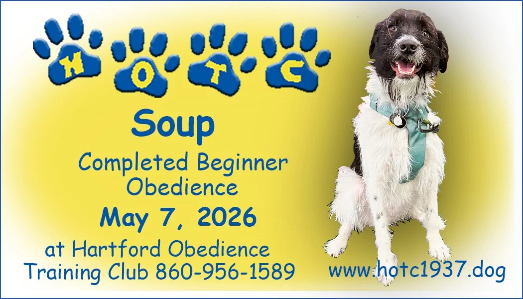 Soup050726.jpg