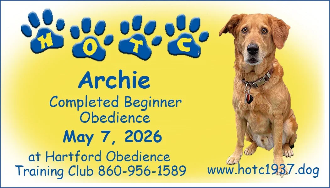 Archie050726.jpg