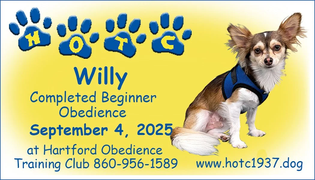 Willy090425.jpg