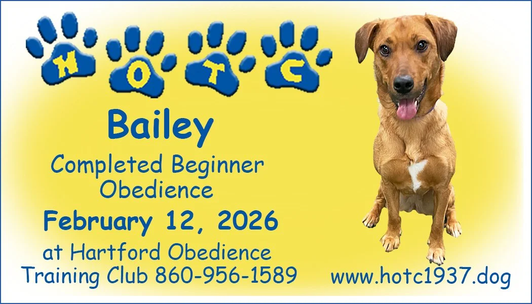 Bailey021226.jpg