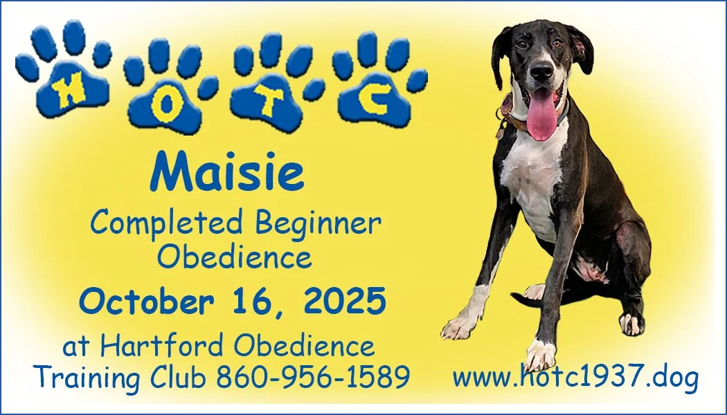 Maisie101625.jpg
