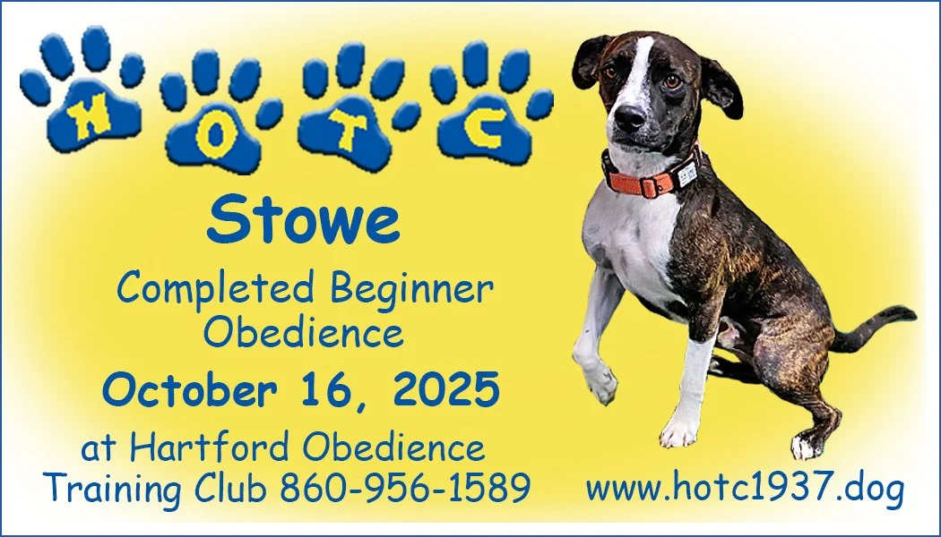 Stowe101625.jpg