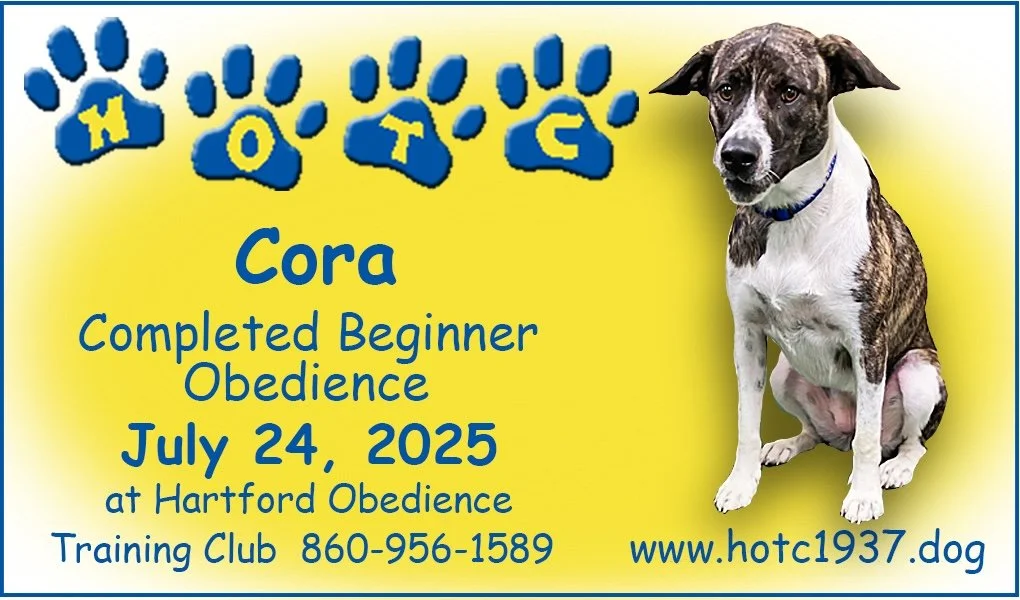 Cora072425psd.jpg