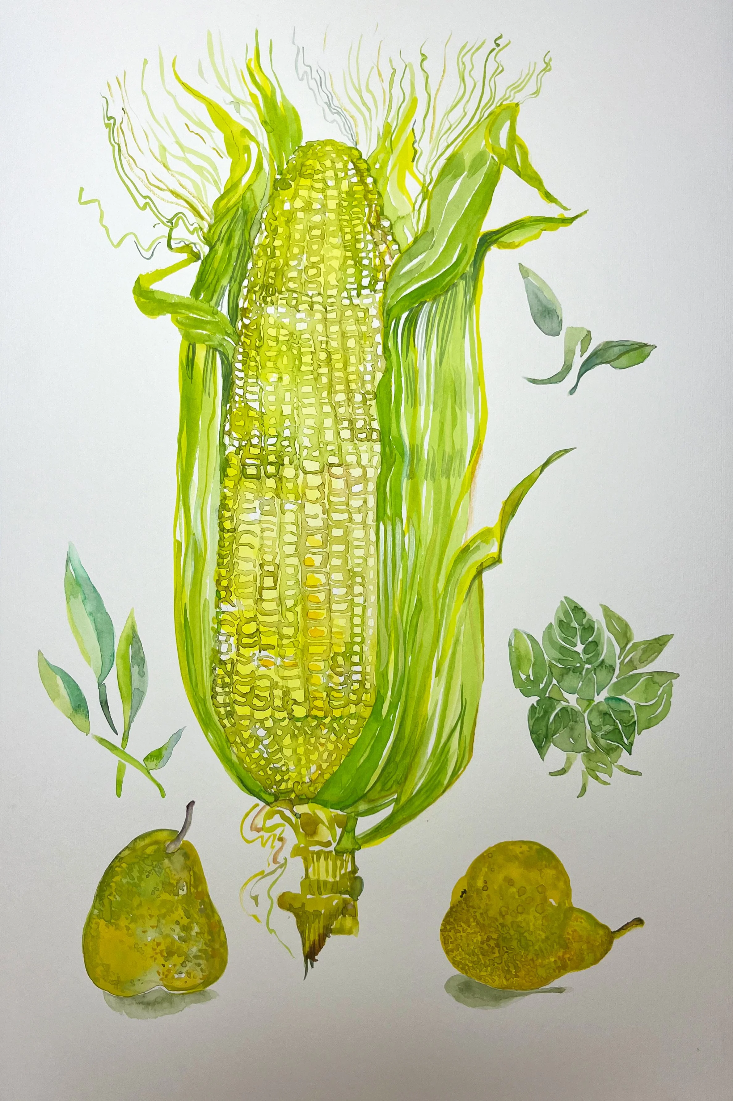 Untitled-Corn-Cob-and-Pears-.jpg