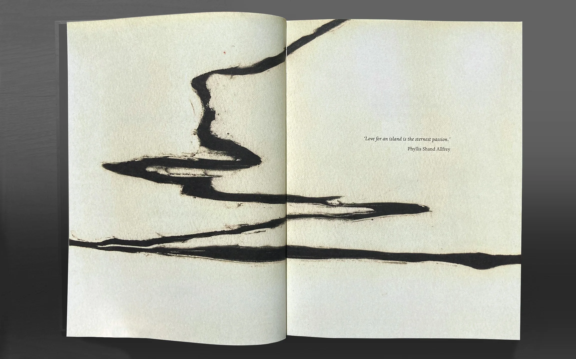 Defence Forces HD pages 10.jpg