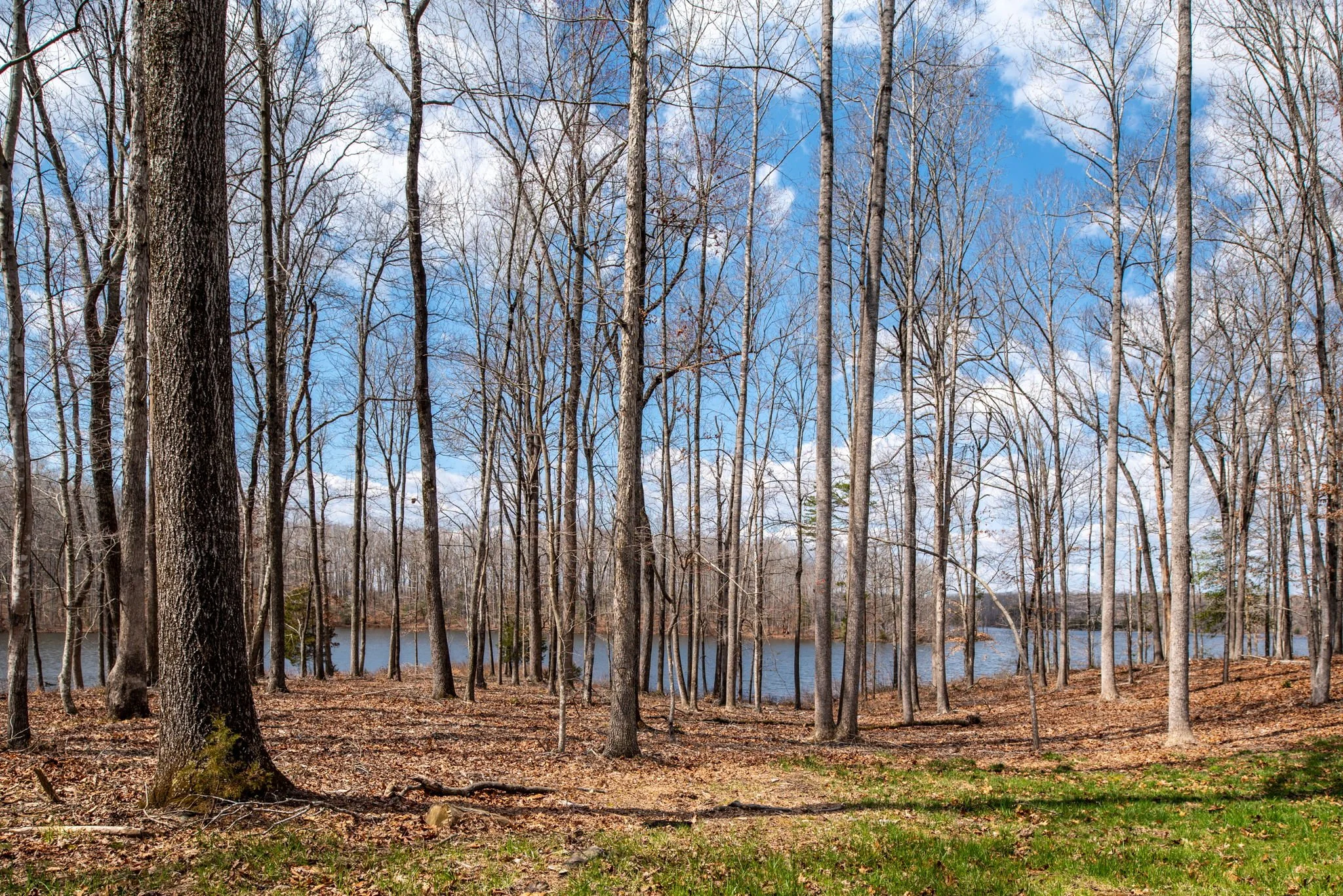 12-web-or-mls-Rosni Way Lots for Byrton Homes-10.jpg