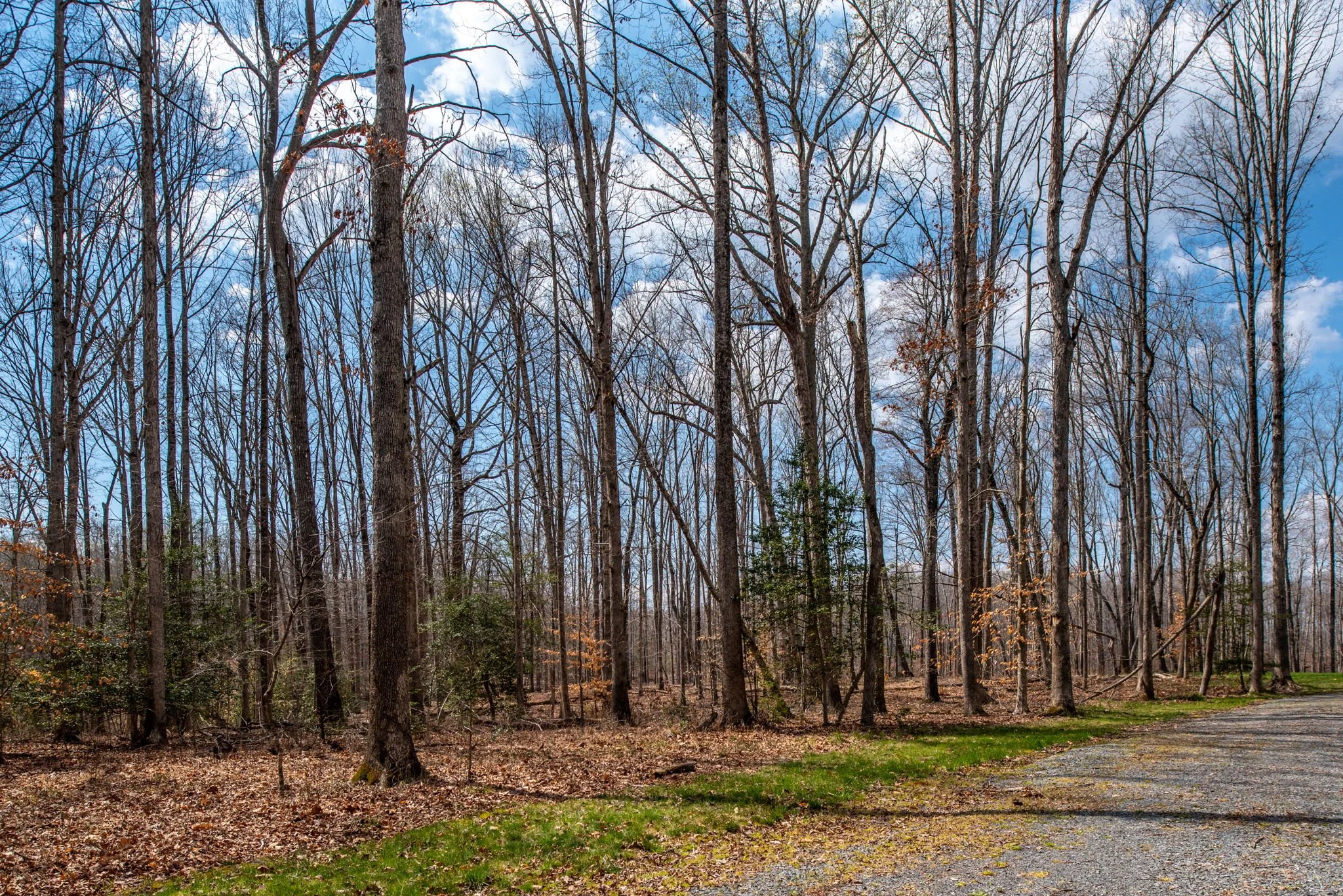 14-web-or-mls-Rosni Way Lots for Byrton Homes-2.jpg