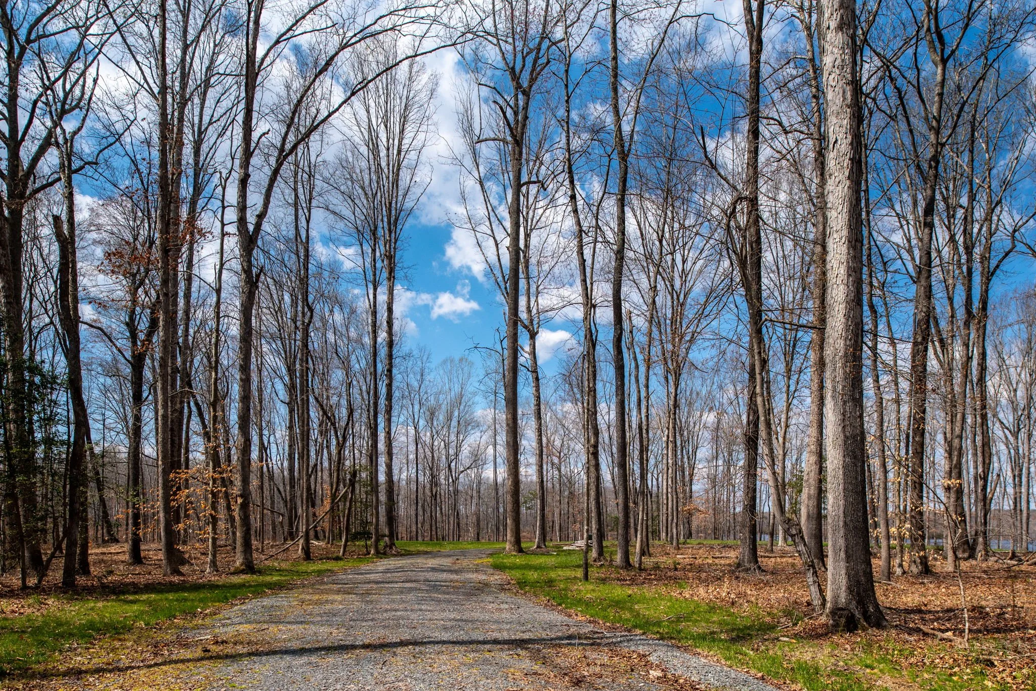 16-web-or-mls-Rosni Way Lots for Byrton Homes-3.jpg