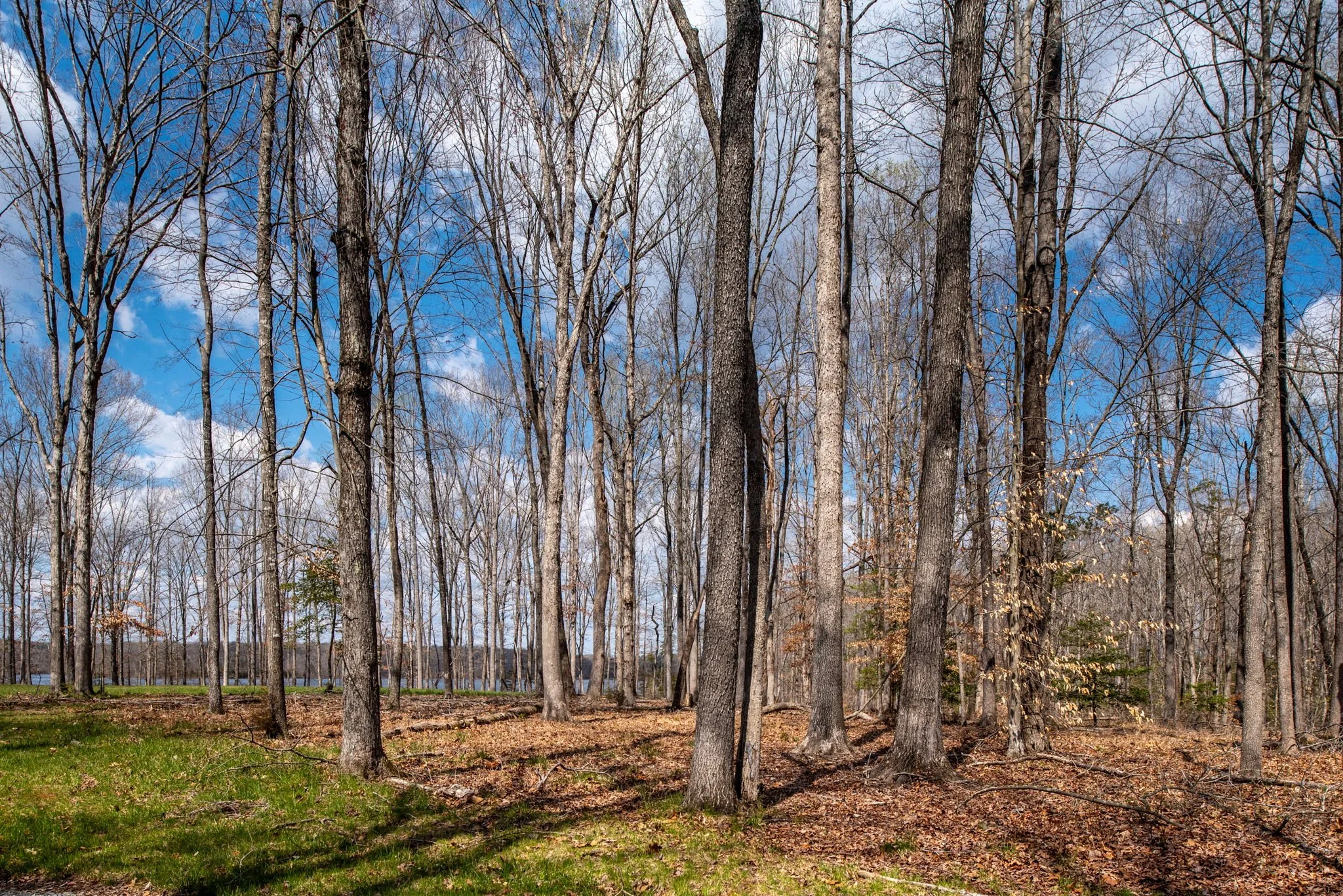 18-web-or-mls-Rosni Way Lots for Byrton Homes-4.jpg