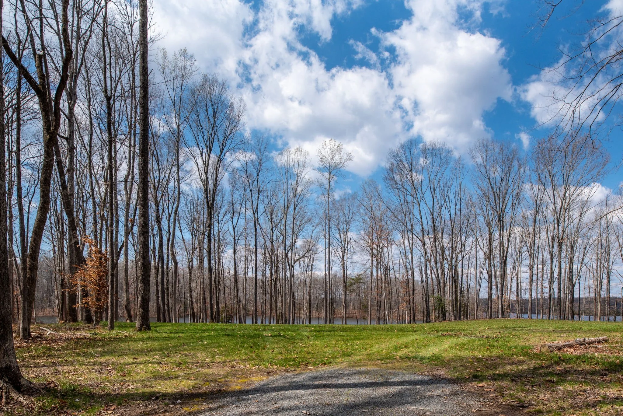 20-web-or-mls-Rosni Way Lots for Byrton Homes-5.jpg